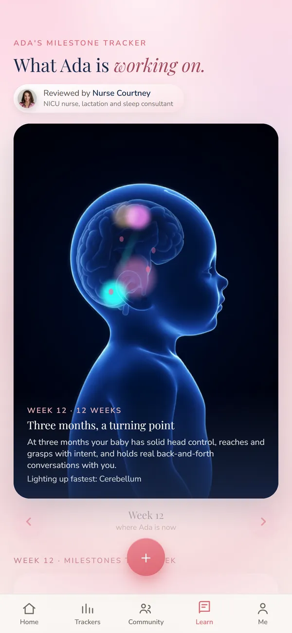 The baby milestone tracker, showing what the baby's brain is working on
